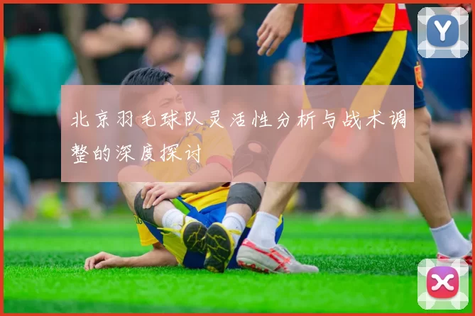 北京羽毛球队灵活性分析与战术调整的深度探讨