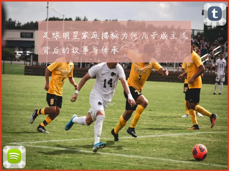 足球明星家庭揭秘为何儿子成主流背后的故事与传承