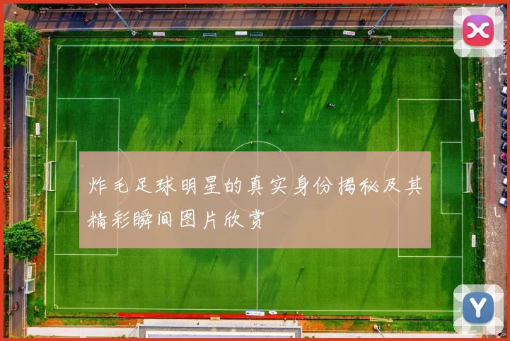 炸毛足球明星的真实身份揭秘及其精彩瞬间图片欣赏