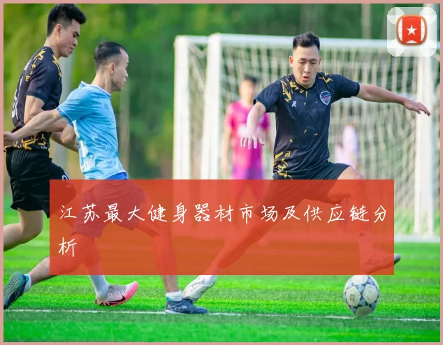 江苏最大健身器材市场及供应链分析