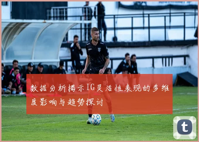 数据分析揭示IG灵活性表现的多维度影响与趋势探讨