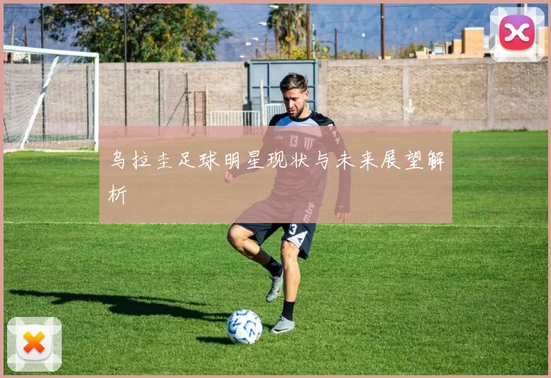 乌拉圭足球明星现状与未来展望解析