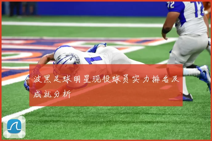 波黑足球明星现役球员实力排名及成就分析
