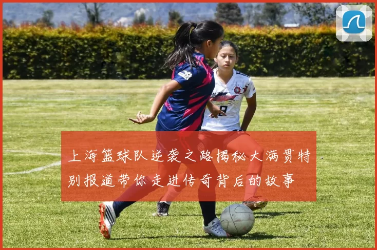 上海篮球队逆袭之路揭秘大满贯特别报道带你走进传奇背后的故事