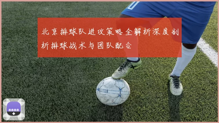 北京排球队进攻策略全解析深度剖析排球战术与团队配合