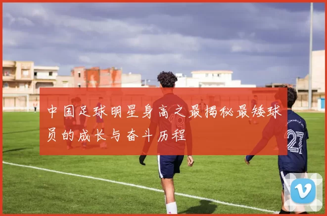 中国足球明星身高之最揭秘最矮球员的成长与奋斗历程