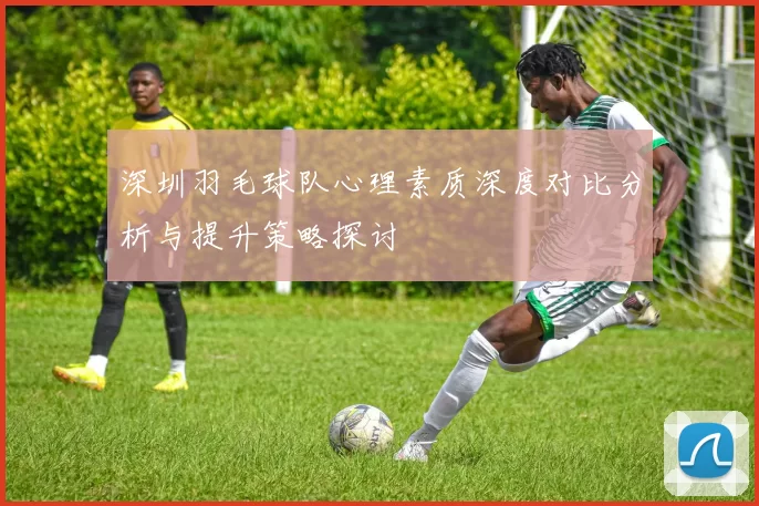 深圳羽毛球队心理素质深度对比分析与提升策略探讨