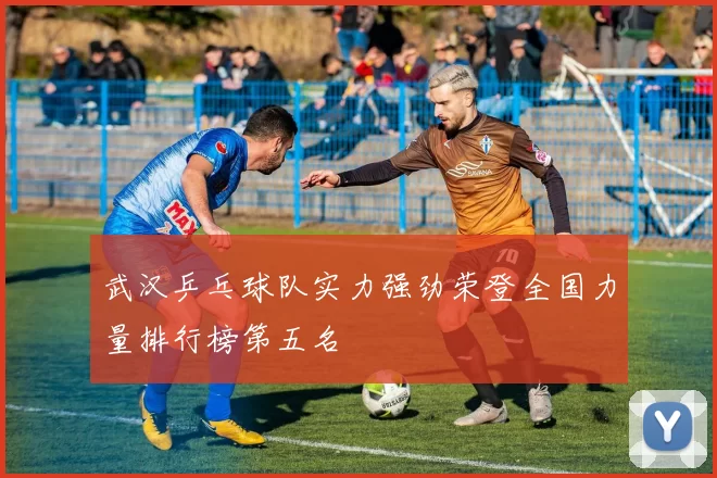 武汉乒乓球队实力强劲荣登全国力量排行榜第五名