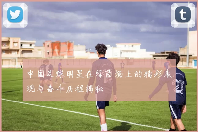 中国足球明星在绿茵场上的精彩表现与奋斗历程揭秘