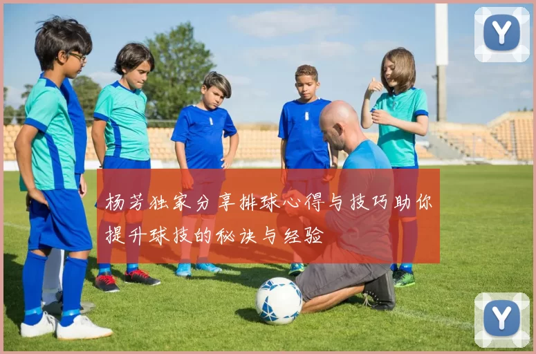杨芳独家分享排球心得与技巧助你提升球技的秘诀与经验