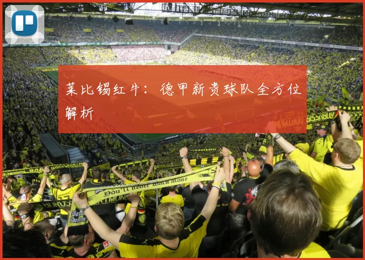 莱比锡红牛：德甲新贵球队全方位解析