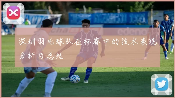 深圳羽毛球队在杯赛中的技术表现分析与总结