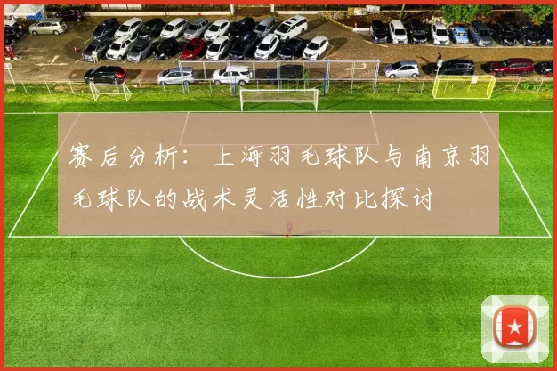 赛后分析：上海羽毛球队与南京羽毛球队的战术灵活性对比探讨