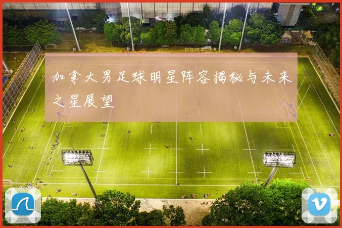 加拿大男足球明星阵容揭秘与未来之星展望