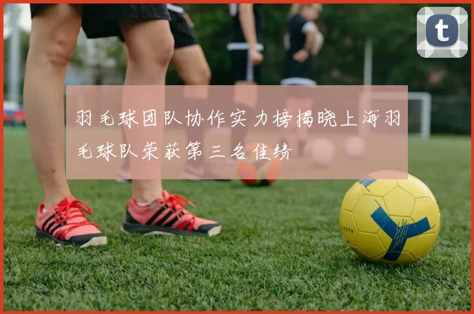 羽毛球团队协作实力榜揭晓上海羽毛球队荣获第三名佳绩