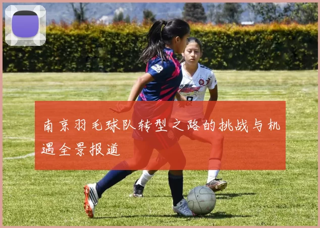 南京羽毛球队转型之路的挑战与机遇全景报道