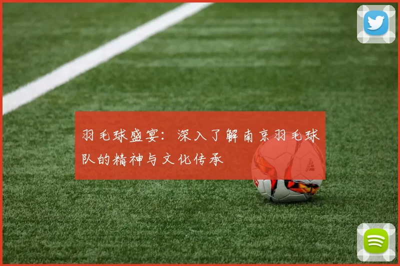 羽毛球盛宴：深入了解南京羽毛球队的精神与文化传承