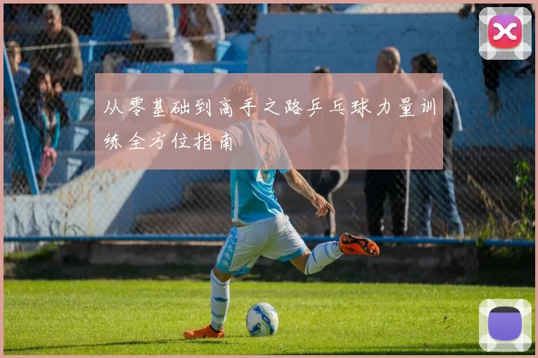 从零基础到高手之路乒乓球力量训练全方位指南