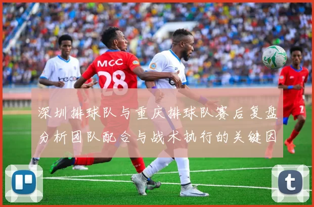 深圳排球队与重庆排球队赛后复盘分析团队配合与战术执行的关键因素